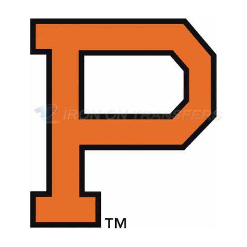Princeton Tigers Iron-on Stickers (Heat Transfers)NO.5930